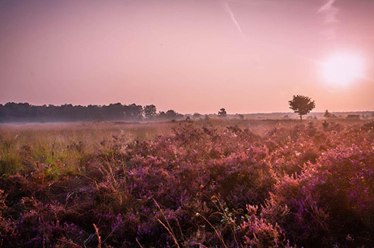 18 Persoons Veluwe Villa フォールトハイゼン エクステリア 写真